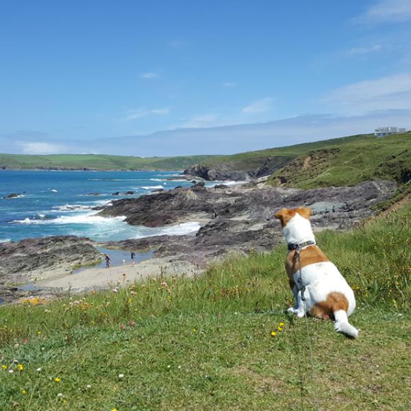 Rock, Cornwall Coastal Dog Walk - Clouds Holiday Home